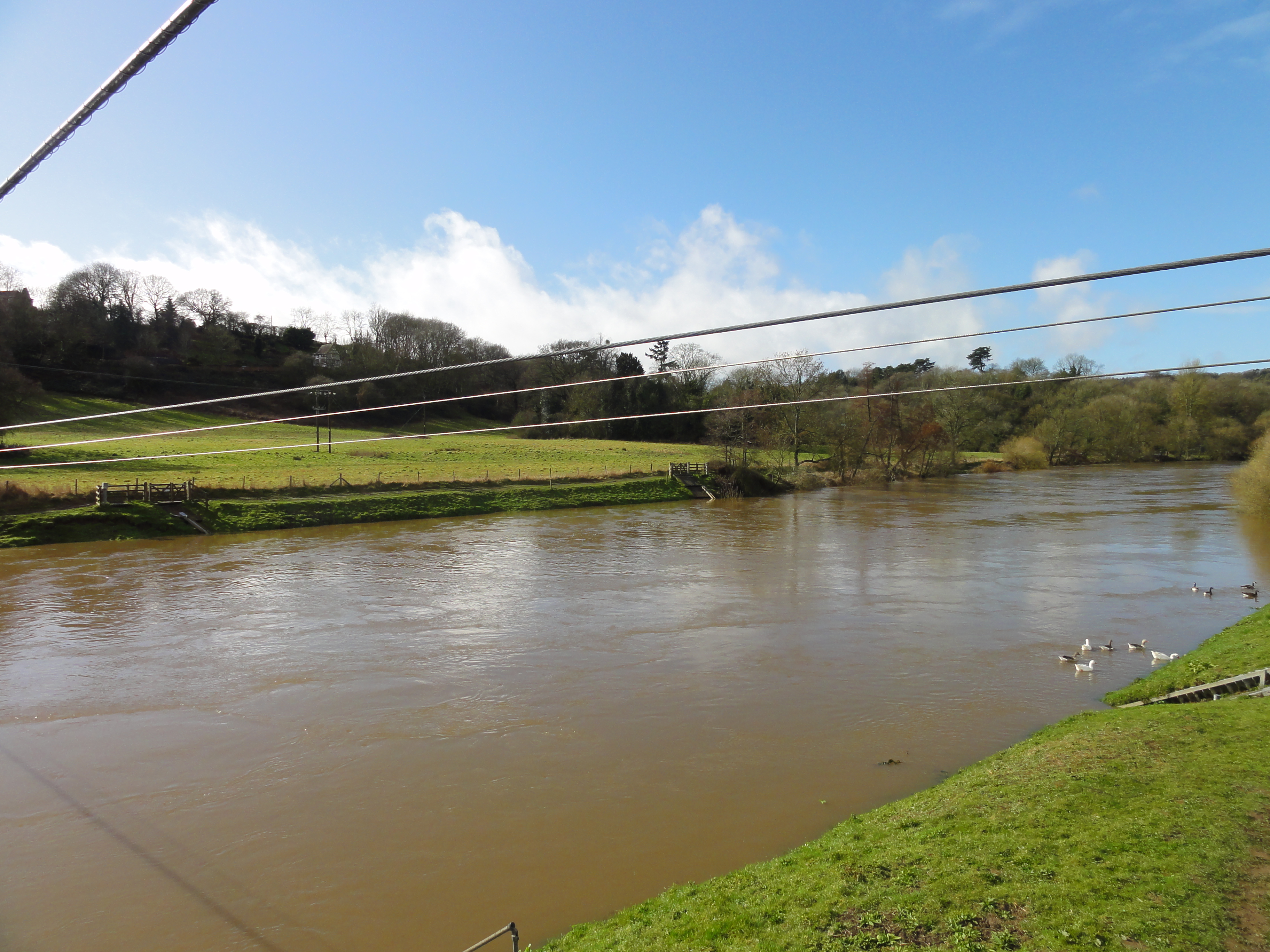 Severn at Bewdley