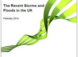 Front cover of 'The Recent Storms and Floods in the UK'