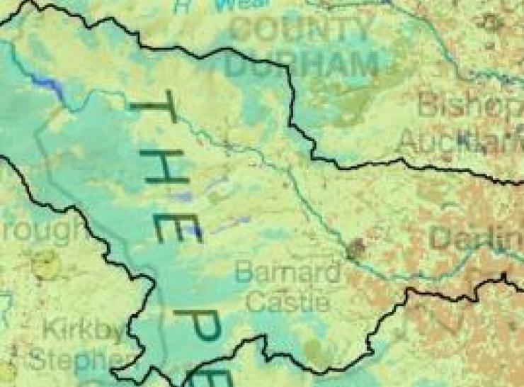 Land Cover Map