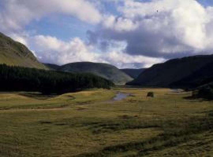Hills