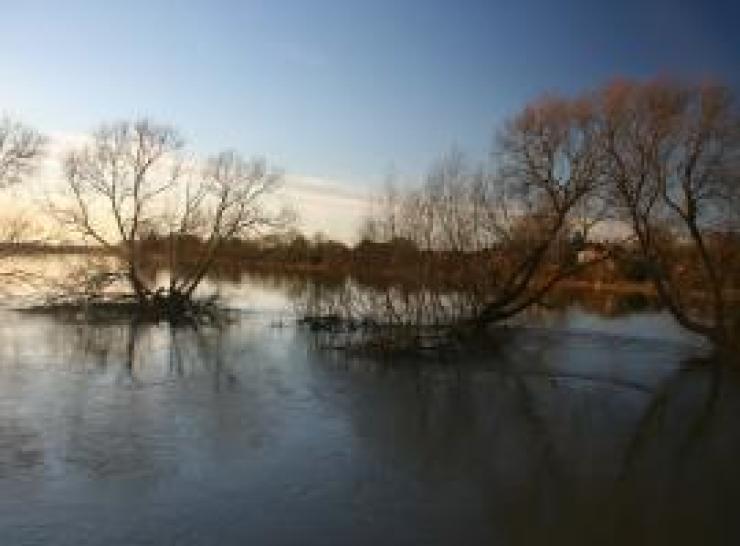 River Flooding 