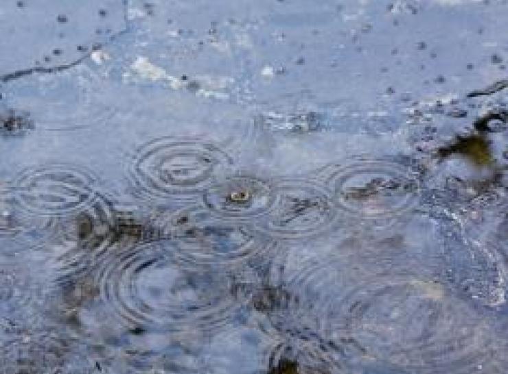 Rain