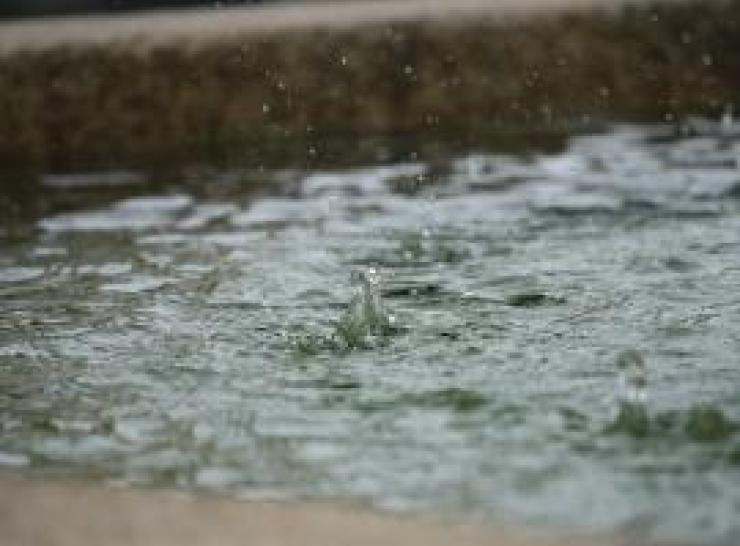Splash